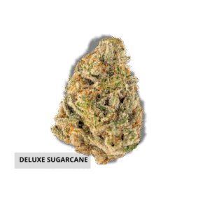 GORILLA GLUE