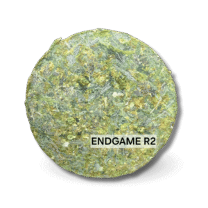 ENDGAME R2 อัด