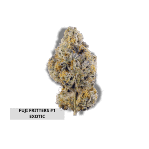 Fuji fritters #1 Exotic