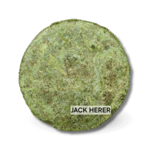 JACK HERER อัด
