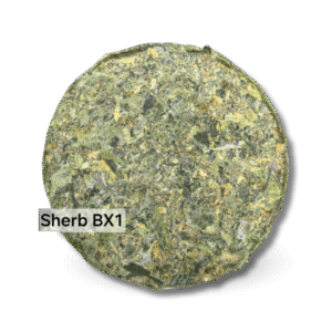 SHERB BX1